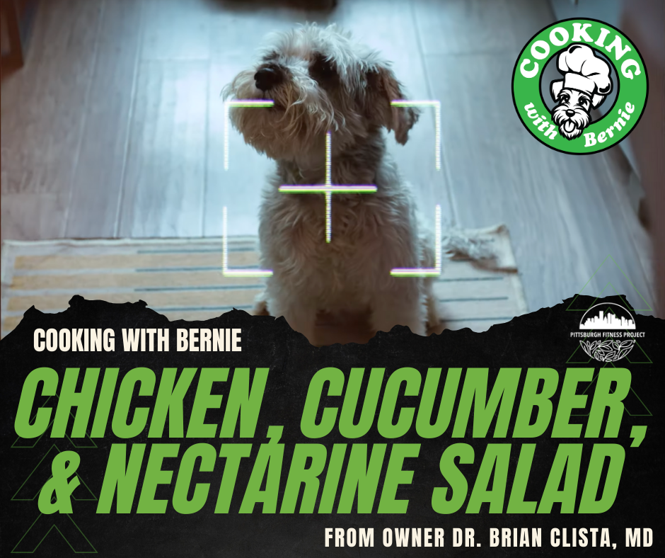 BLOG GRAPHIC: CHICKEN, CUCUMBER, & NECTARINE SALAD. Image of "chef" Bernie the dog, sitting on the floor.