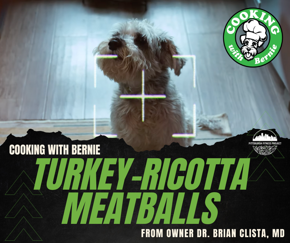 BLOG GRAPHIC: TURKEY-RICOTTA MEATBALLS.  Image of "chef" Bernie the dog, sitting on the floor.