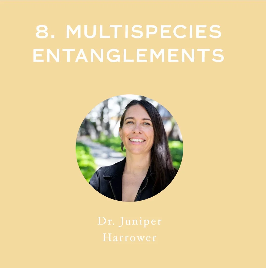 [Full Length] Multi-species Entanglements, or, How we Become Rapt in Other Lives — with Dr. Juniper Harrower