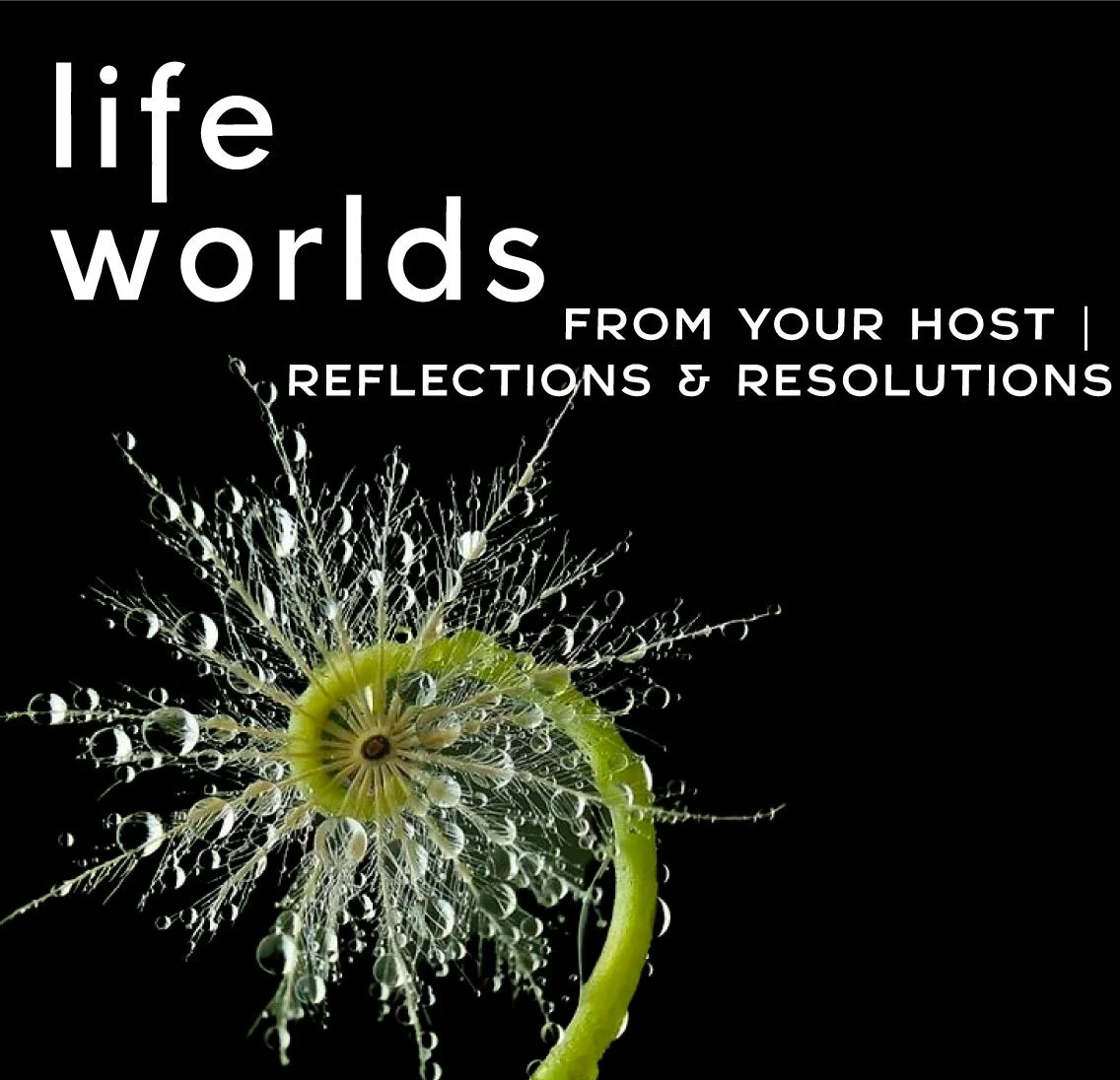 From your Host: My 2023 Reflections and Resolutions from Season One!