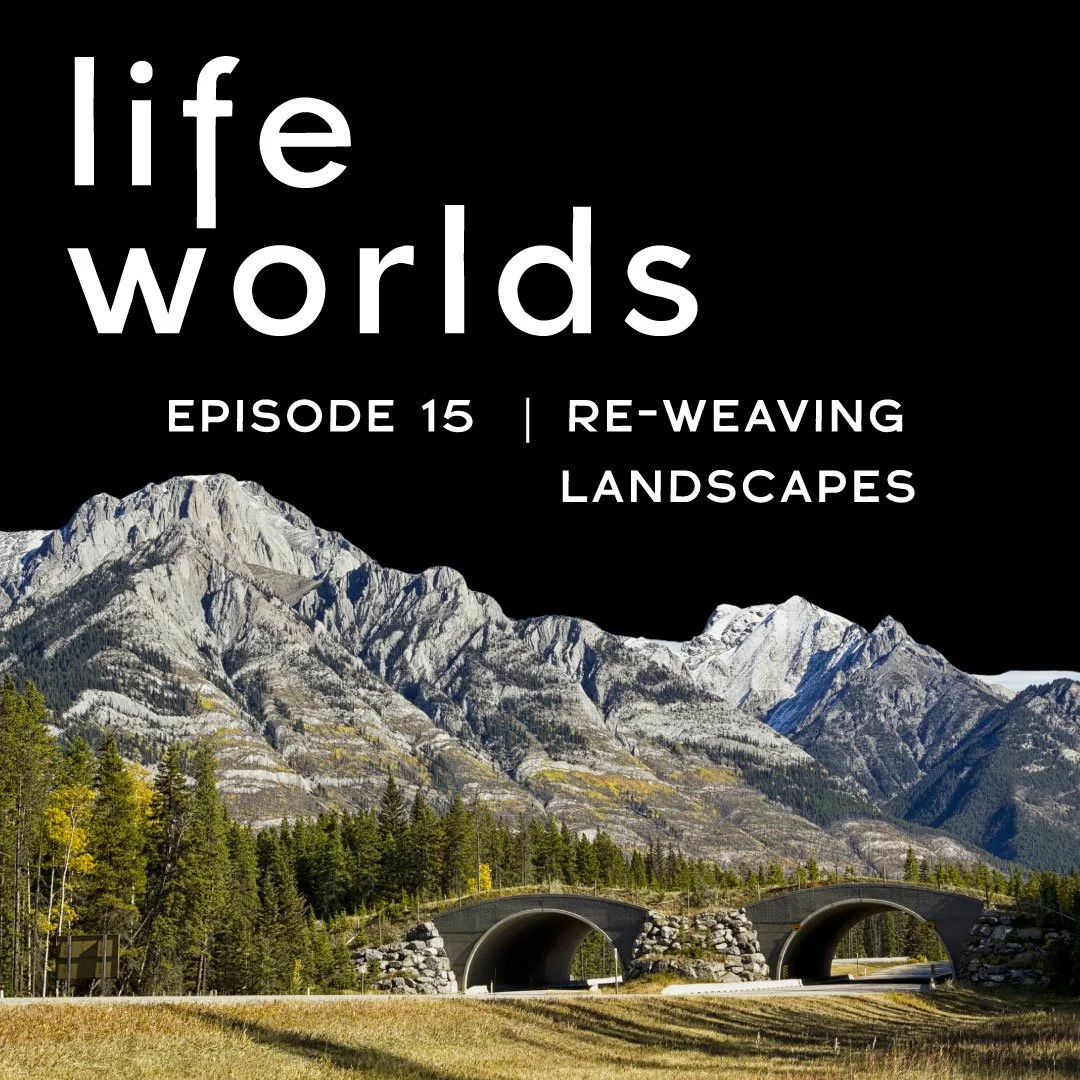 15. Re-Weaving Landscapes: Wildlife Crossings &amp; Designing for Nature as the Client