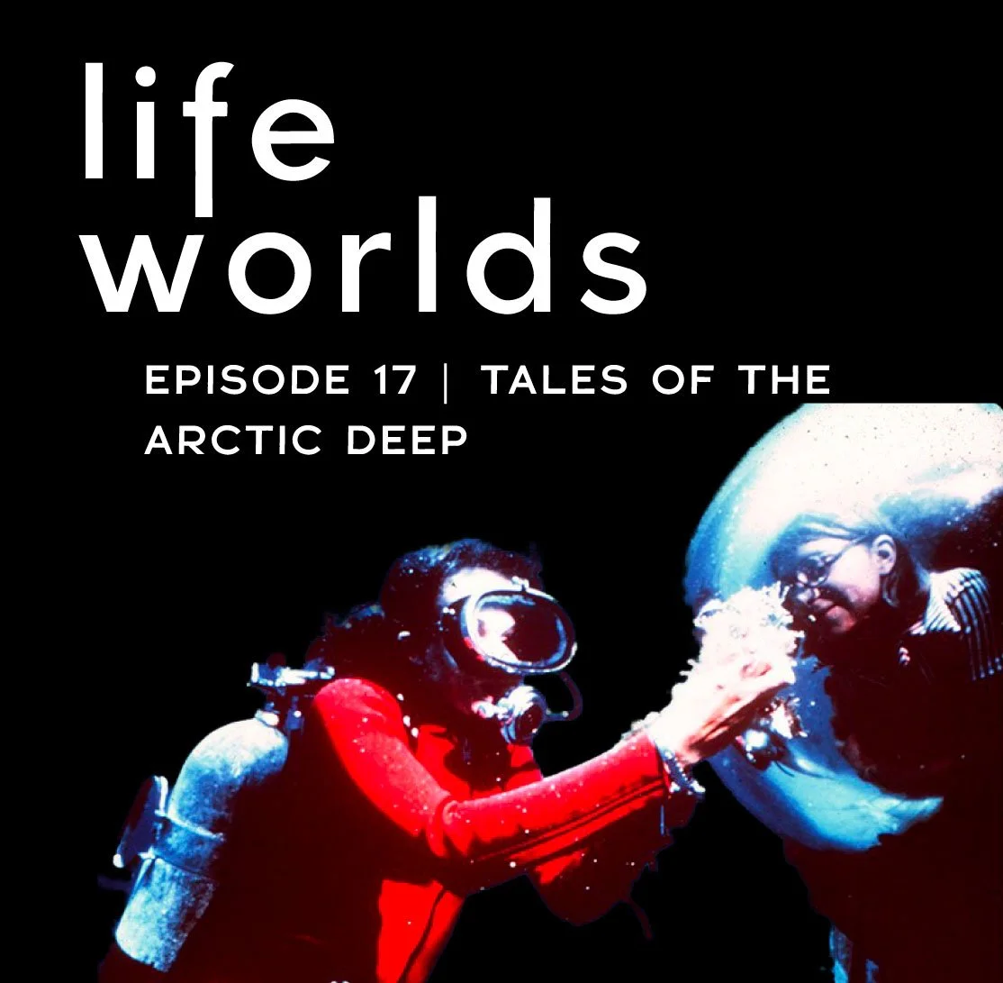 17. Tales of the Arctic Deep – with Sylvia Earle, Johan Rockström and Taylor Griffith