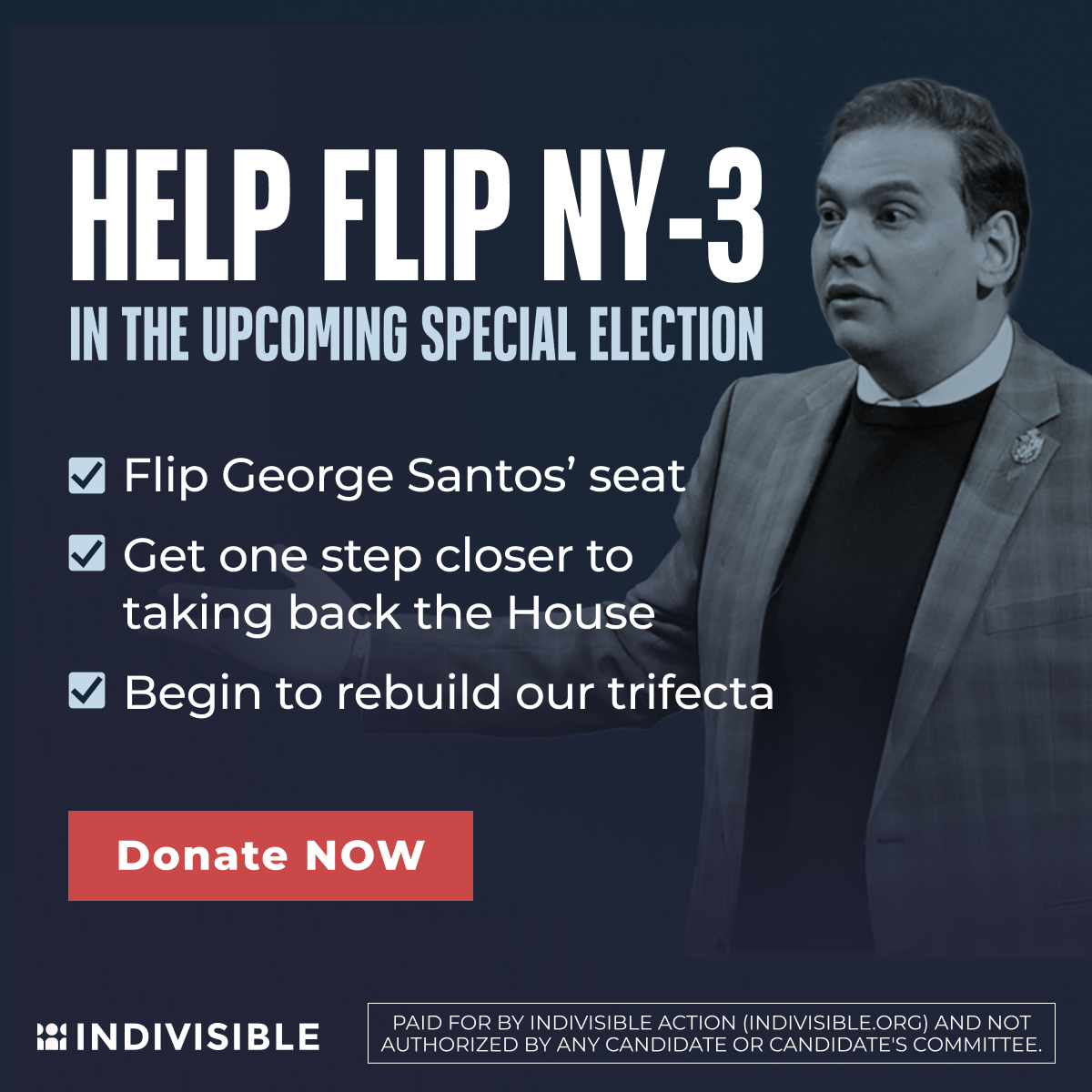 Bluestate_2024_Indivisible_FB_NY-03_zr01_1.png