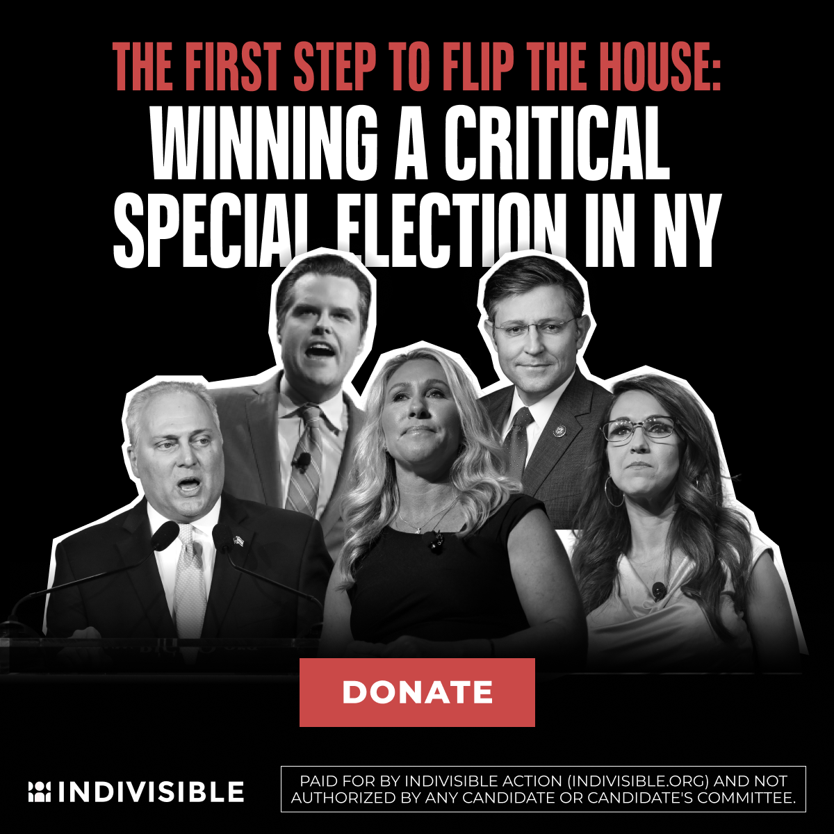 Bluestate_2024_Indivisible_FB_NY-03_zr01_2.png