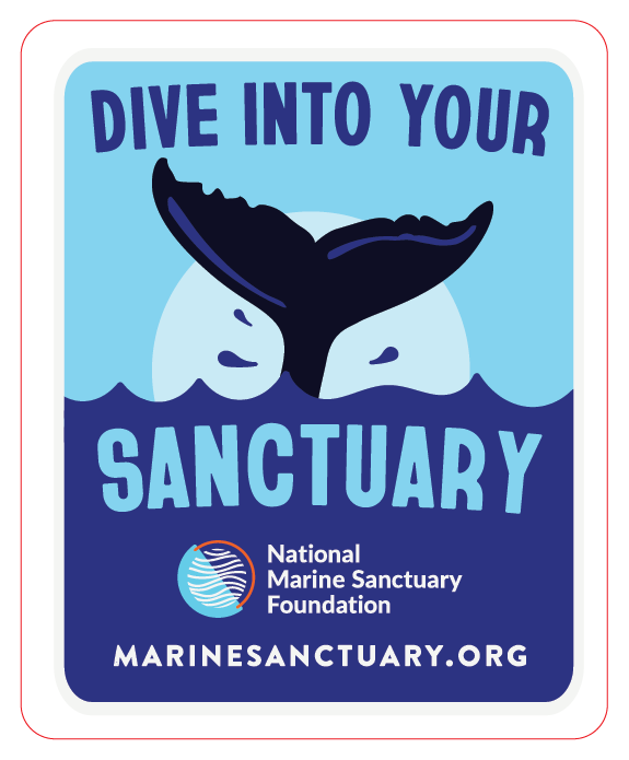 2025_BlueState_NMSF_JuneStickerIncentive-General-DiveIn_expanded.png