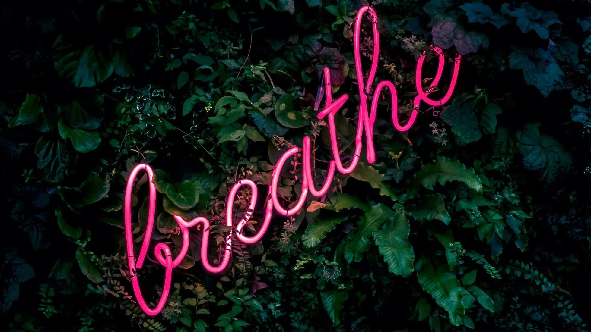 Breath is Life