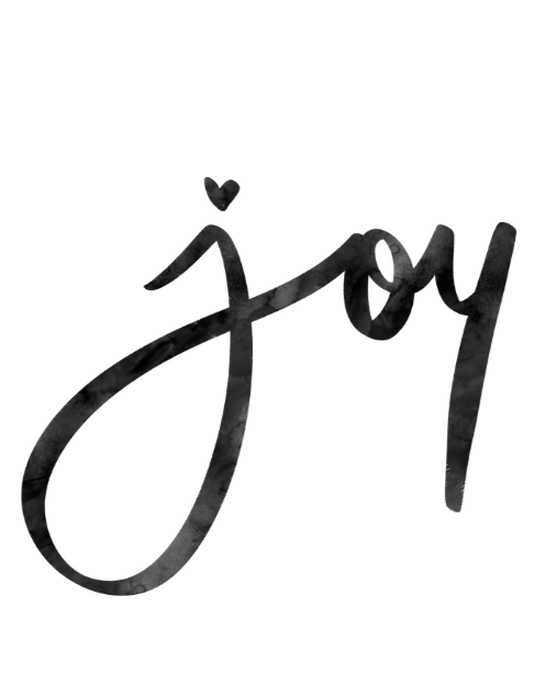 The Joy Toolkit