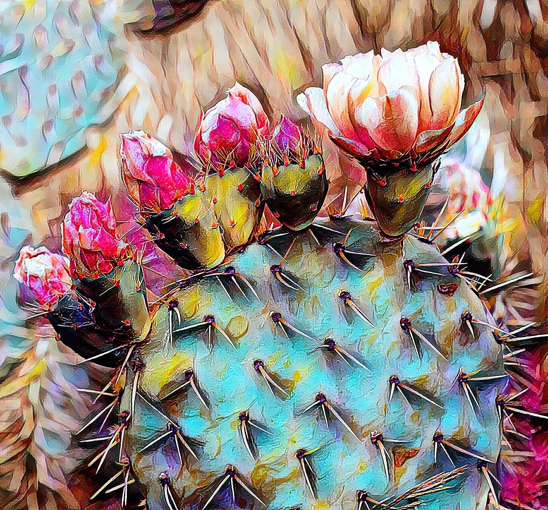 Pear Cactus Blooms 5%22.jpg