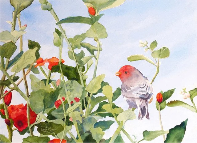 Summer Song_watercolor_32x36