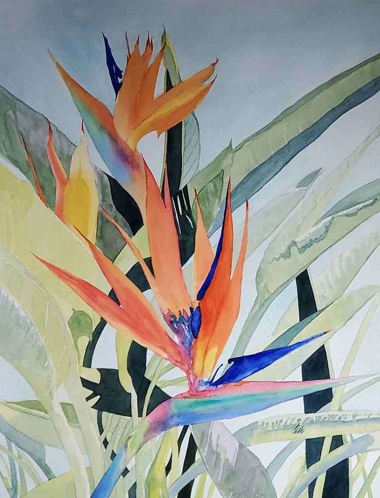 Tim_Bhajjan_Birds_Watercolor_25X21.jpg.jpg