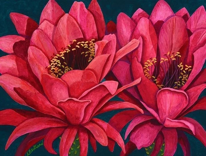 Sharon Bertrand_Red Cactus Flower acrylic_12x16 .jpg
