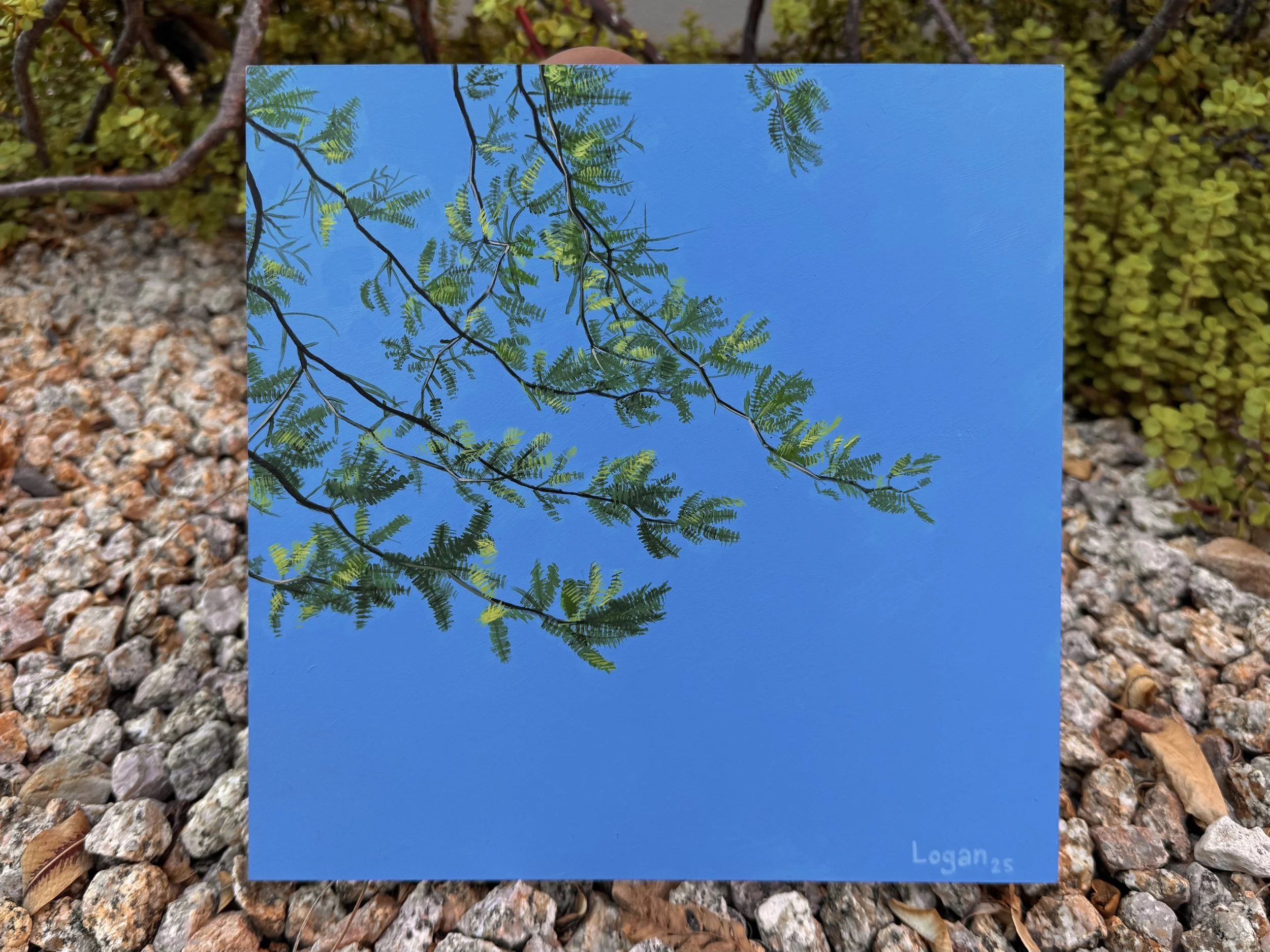 Logan Kilgroe 1.jpeg