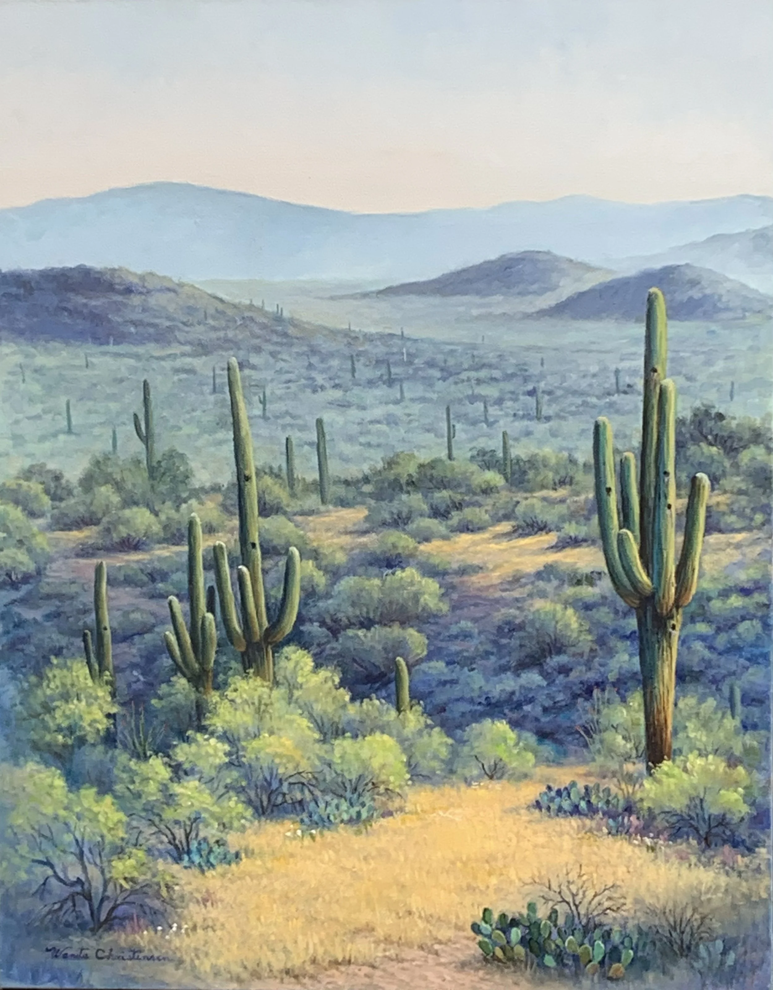 Wanita Christensen_oil_Sonoran Desert Vista_22x28.jpg
