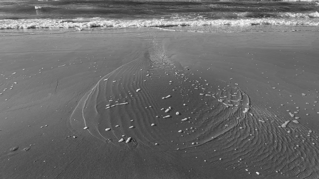 Sting Ray Beach  17 x 29