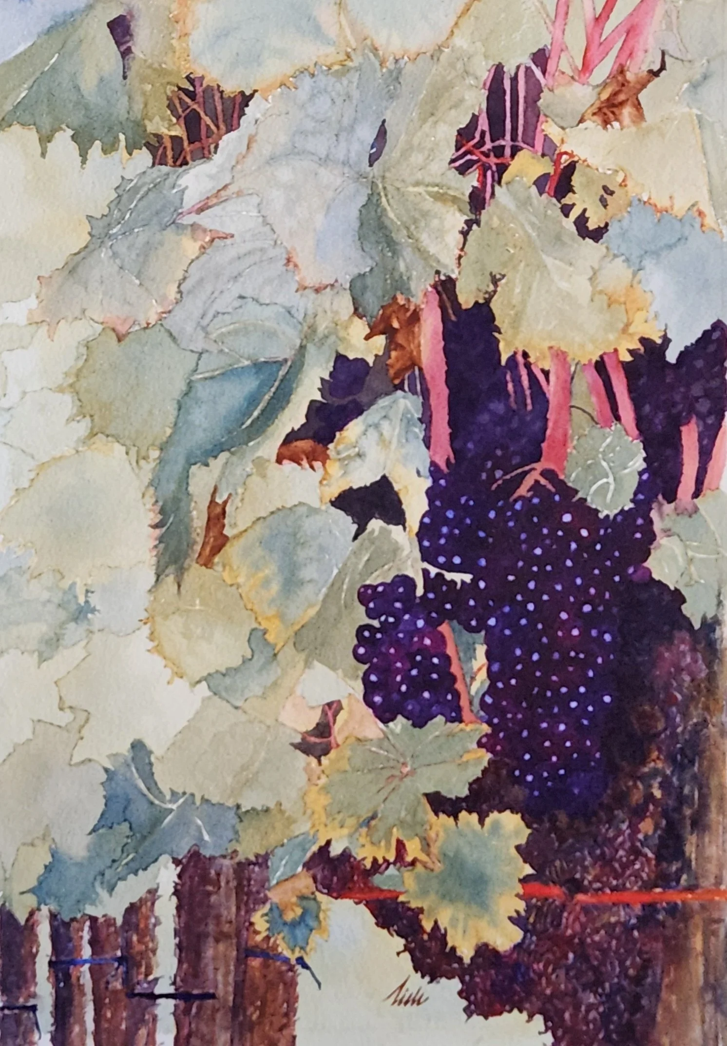 timbhajjan_Abundance_Watercolor_20X14