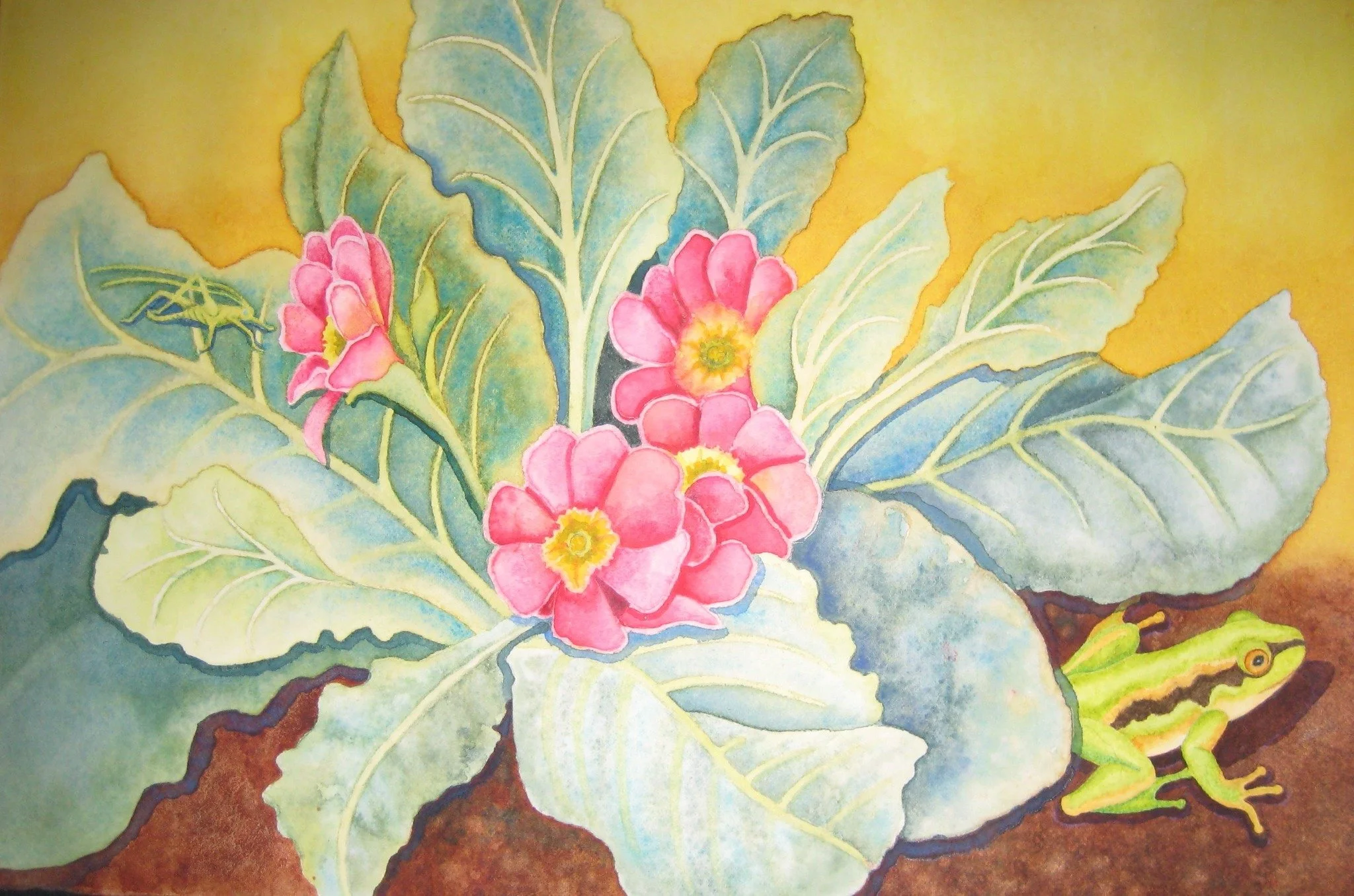 Sharon Bertrand_Hidden Hyla_wc_13 x 16