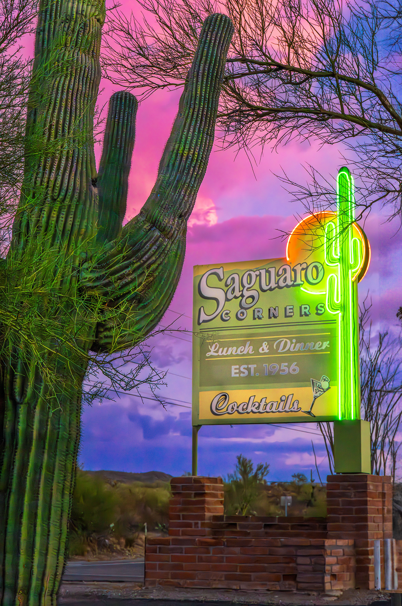 John Grant_Cactus Neon_metal photo art with mount_12X18.webp