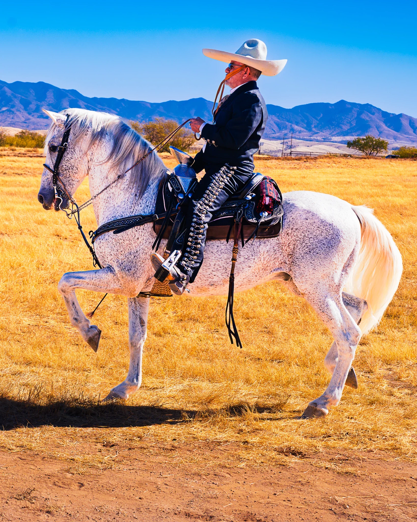 John Grant_Whetstone Mountain Hop_metal photo art with mount_11X14.WEBP.webp