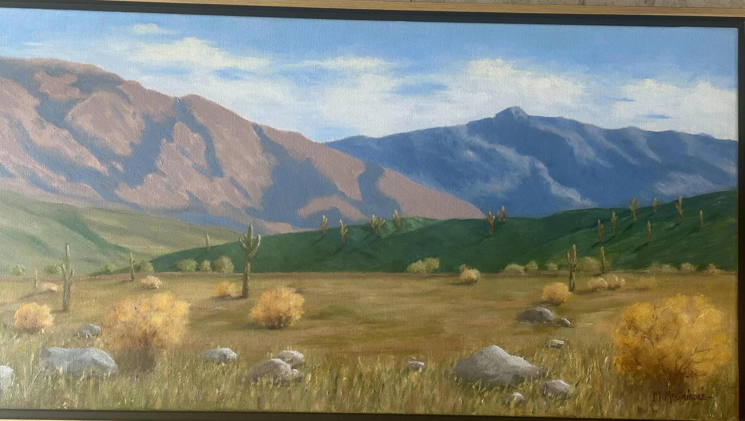 The Rincons  Oil  16x30
