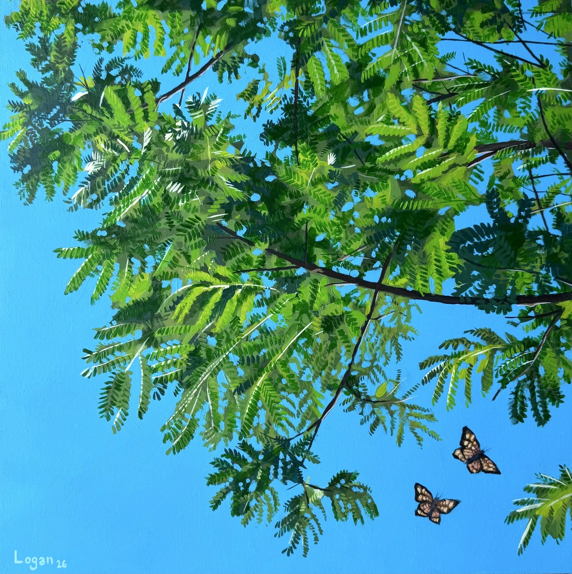 LoganKilgroe_BranchesOverhead2_Acrylic_16”x16”