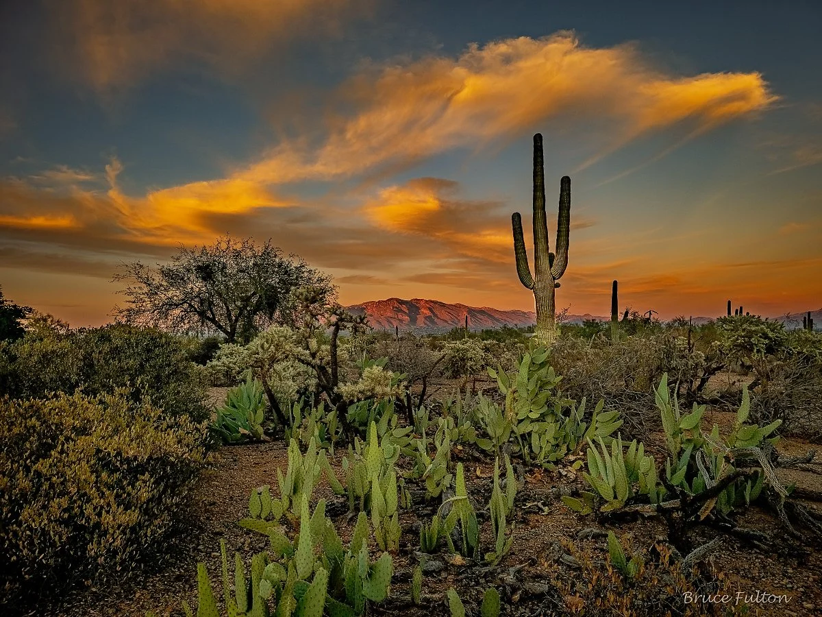 BruceFulton_Sunset 20251018_photo_19x25.jpg