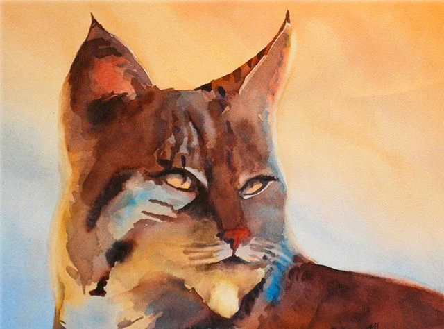 Bobcat_watercolor_11x14