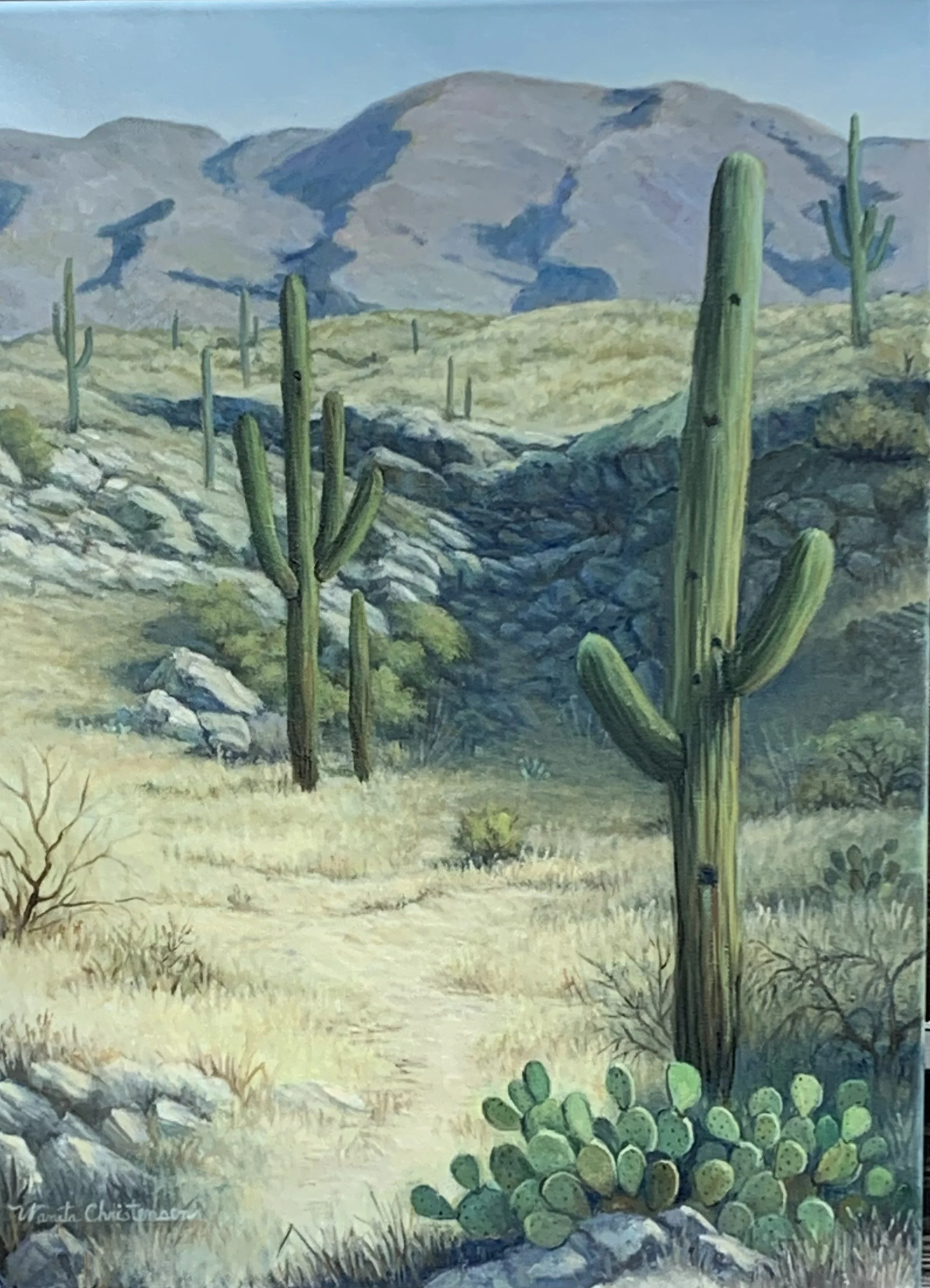 Wanita Christensen_oil_Sonoran Winter_18x24