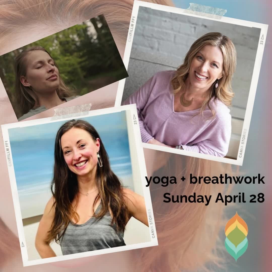 In Studio Yoga Schedule Twist Yoga Lake Oswego OR in-studio-yoga-schedule-twist-yoga-lake-oswego-or