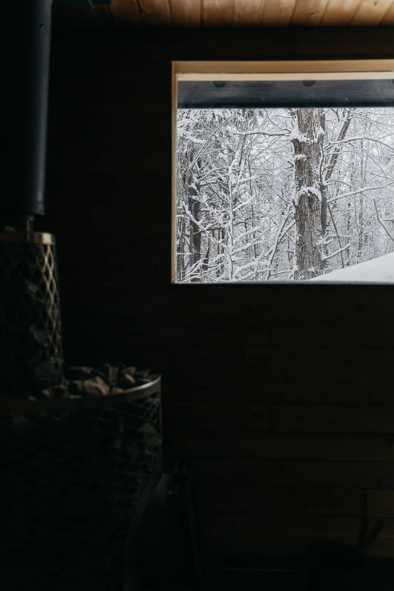 View of snow-covered trees outside a window, with part of a dark room interior visible.