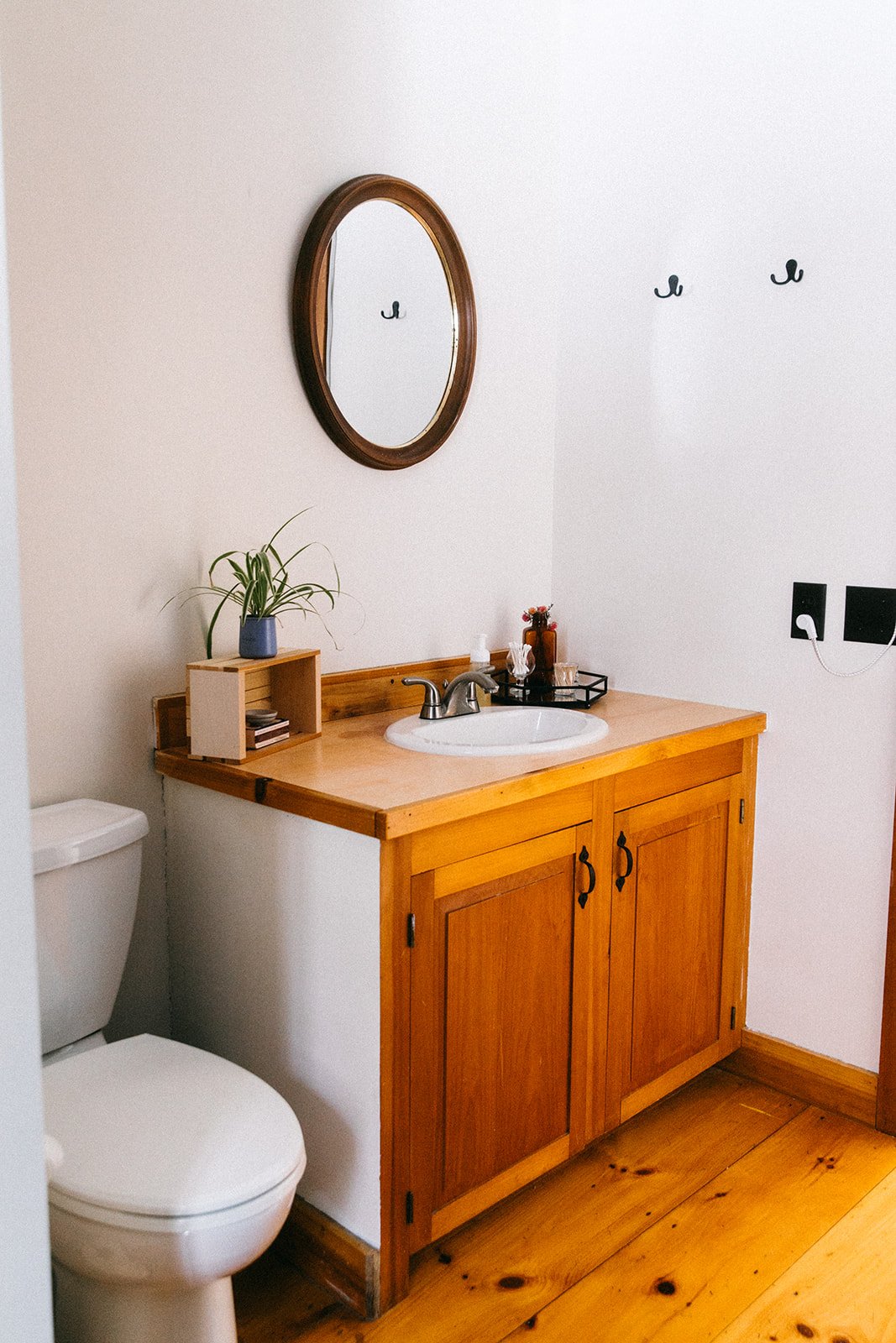 A bathroom with a toilet, a wooden vanity with a white sink, a mirror above, a potted plant on the vanity, and two small wall hooks.