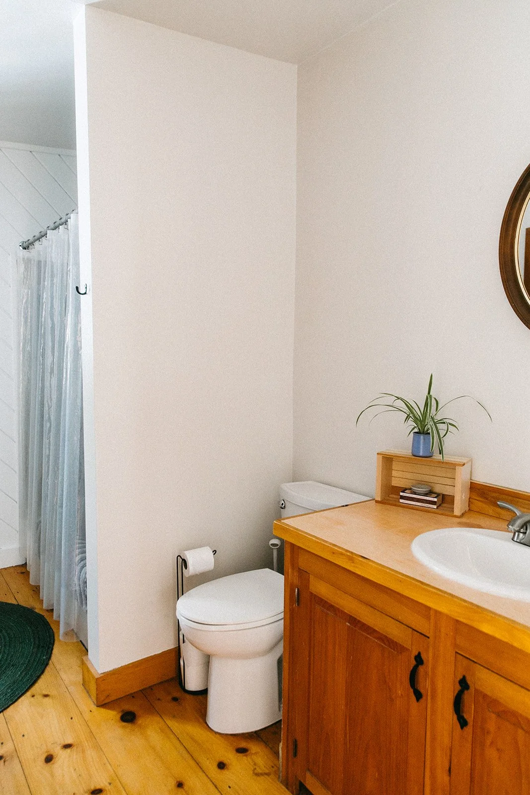 A cozy bathroom with a wooden vanity, a white sink, a small potted plant, a mirror, and a toilet with a toilet paper holder. There is a shower with a white curtain to the left.