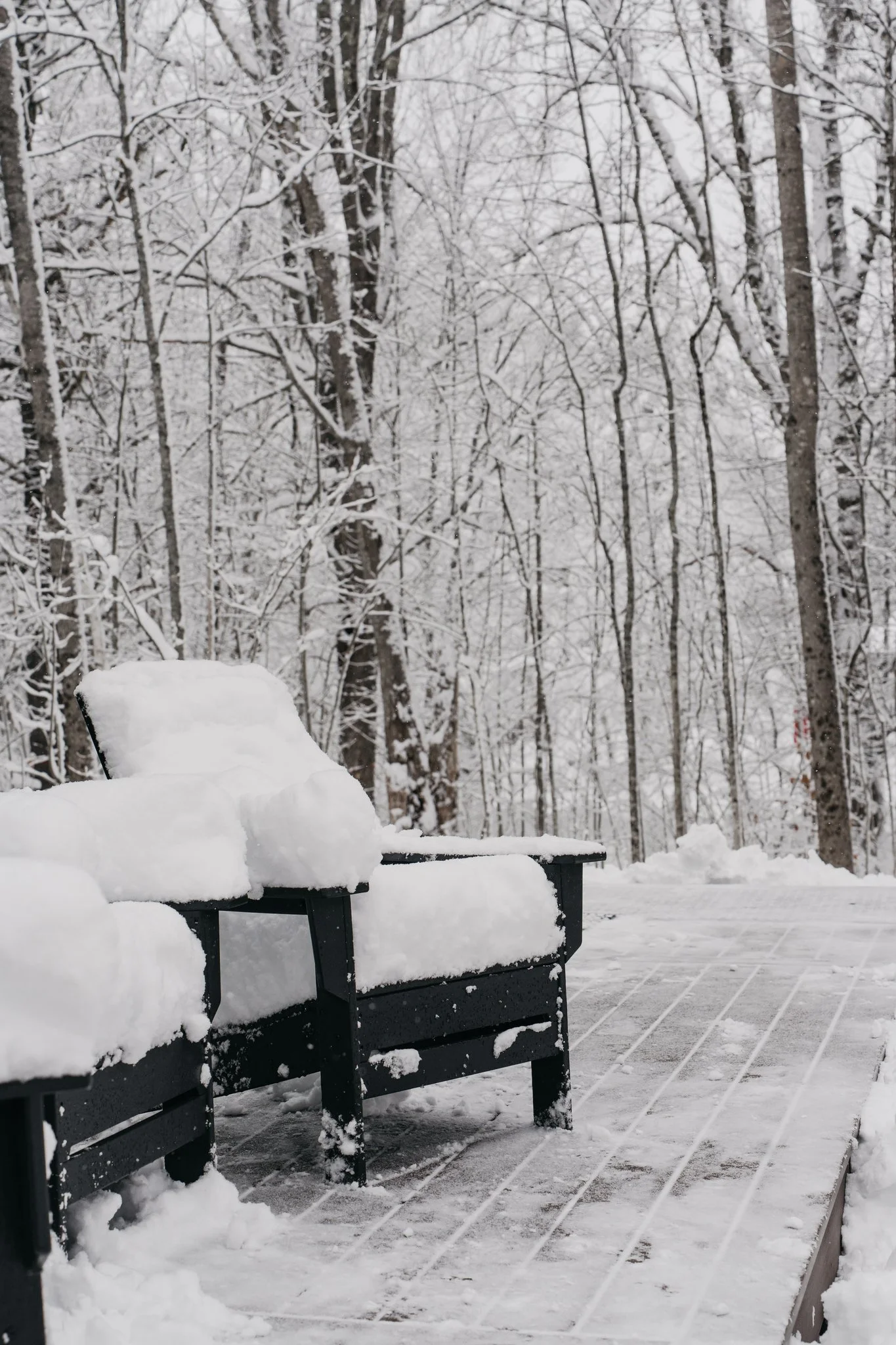 Snow-covered outdoor patio with a black bench and chair, surrounded by a snow-filled forest of trees.
