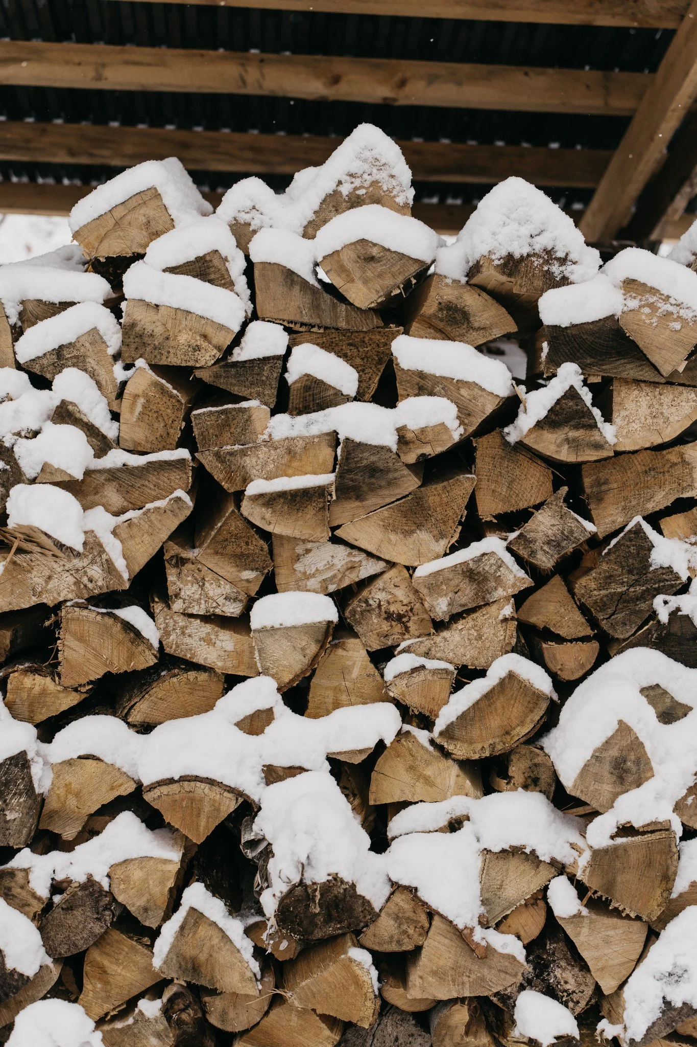 Stacked firewood logs dusted with snow, outdoors under a wooden shelter.