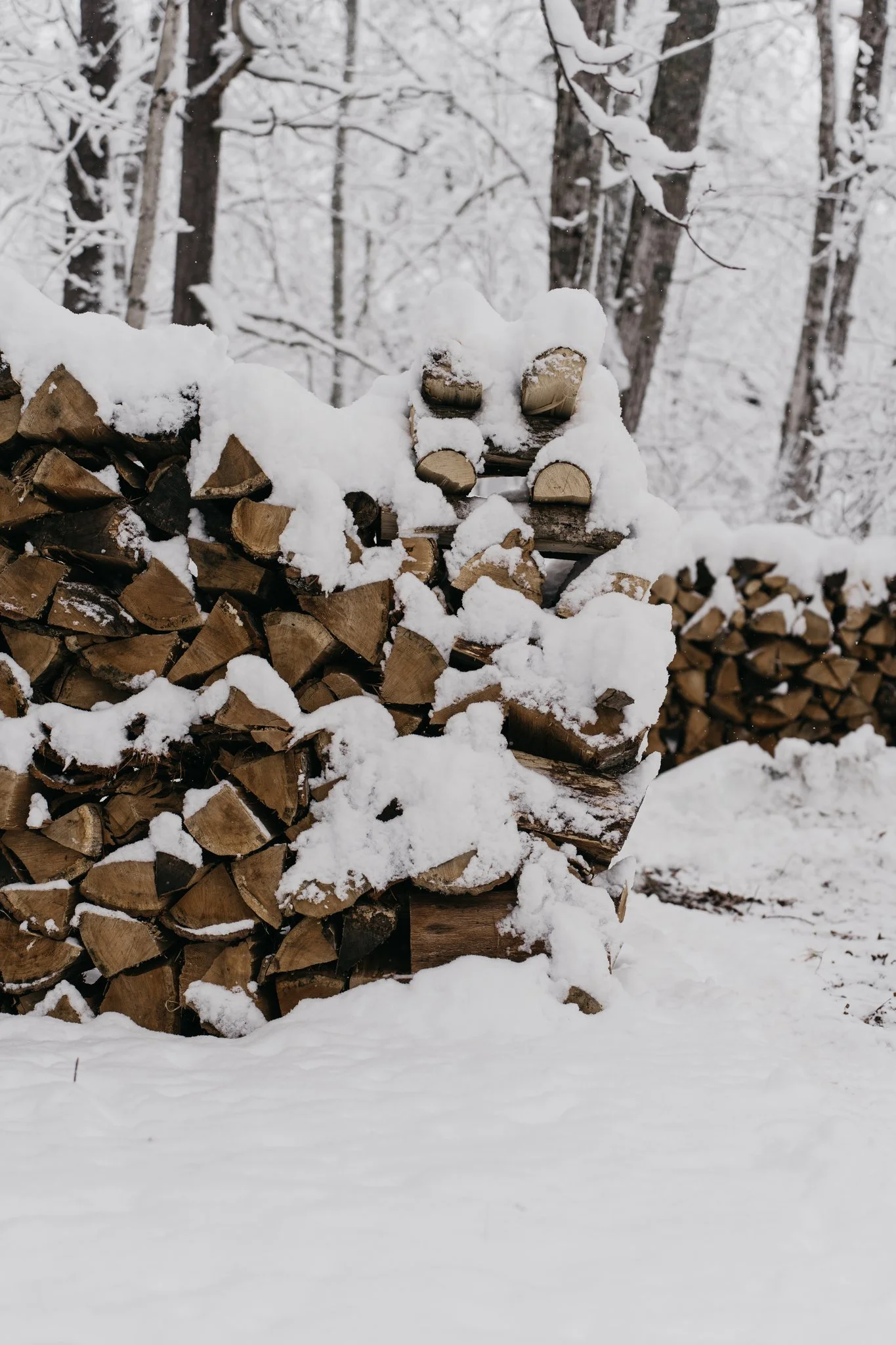 Firewood stacked in a snowy landscape with snow-covered trees in the background.