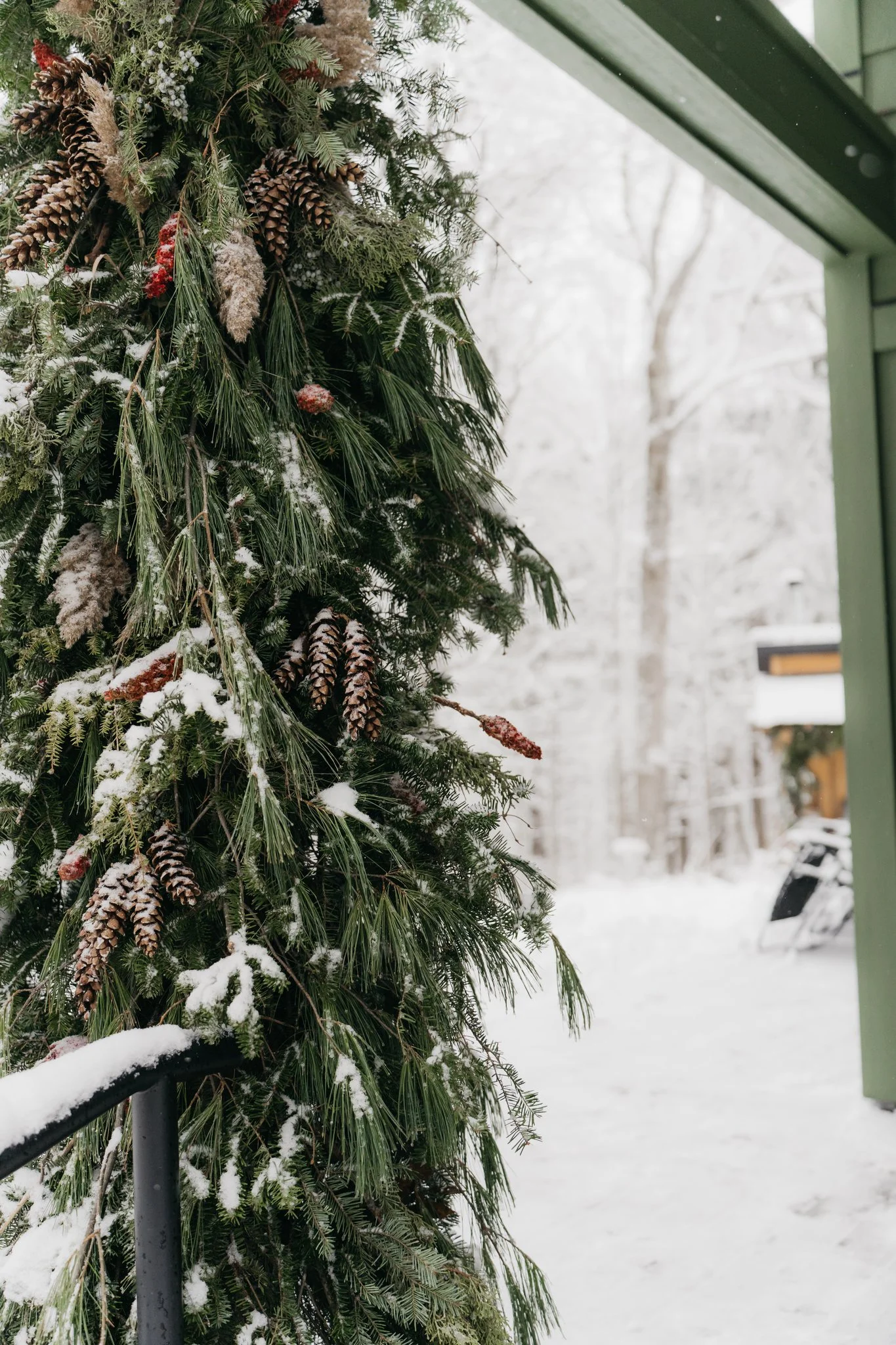 A snow-covered pine branch decorated for Christmas, seen near a green porch with snow on the ground and trees in the background.