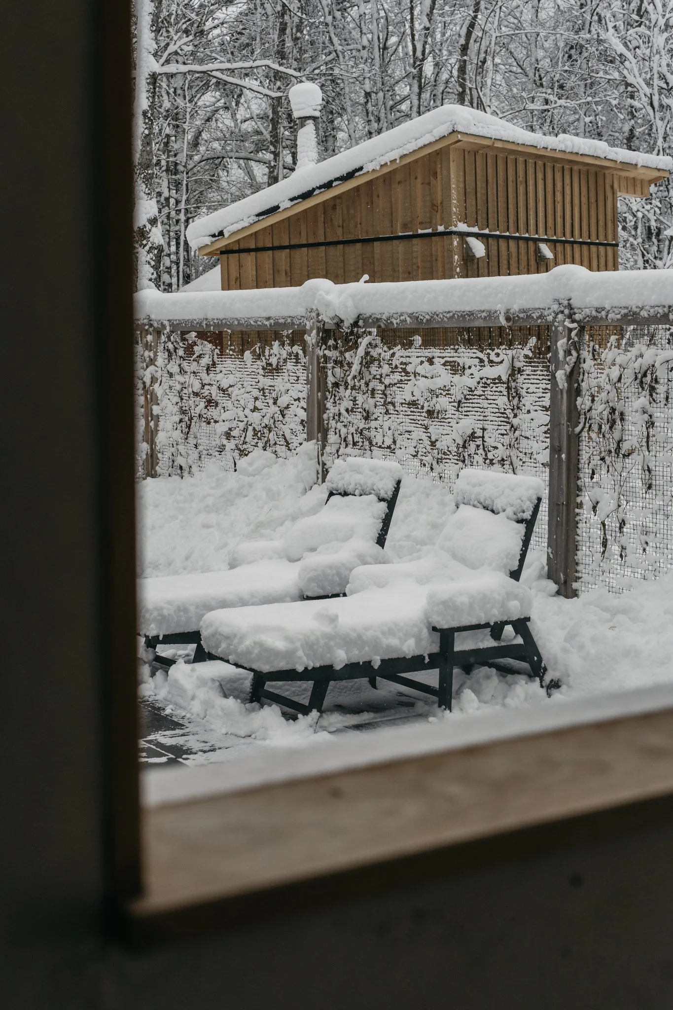 A snowy backyard viewed from an open window, featuring a wooden shed, snow-covered chairs, and a fence with snow on top, surrounded by leafless trees.