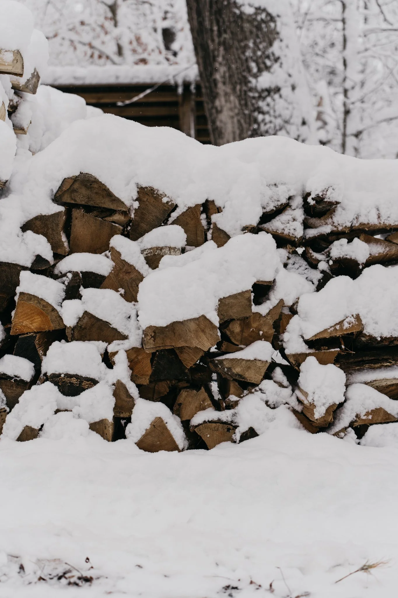 Stacked firewood covered with snow in a winter scene.