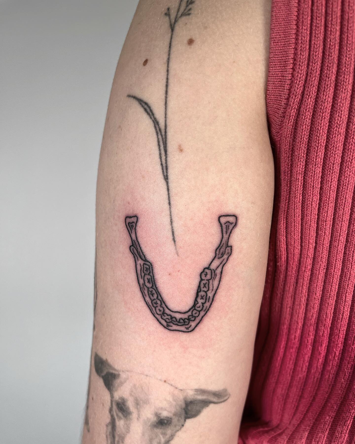 A little jaw bone for the lovely and talented @h.h.hooks 🦷 thanks for getting this one from my flash !! 
&bull;
&bull;
&bull;
&bull;
&bull;
&bull;
#tattoo #blackworktattoo #ttt #illustration #tattooist #tattooart #tattoocollector #aesthetictattoo #t