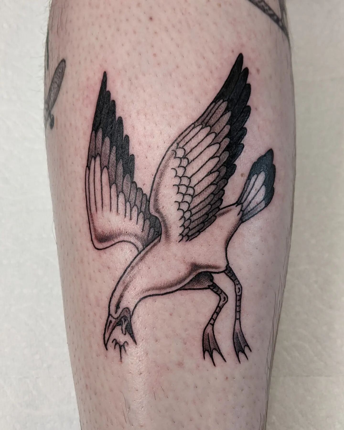 Squawking seagull for Isaac 🍟
.
@sarahgal_flash
Made at @blackeleventattoo