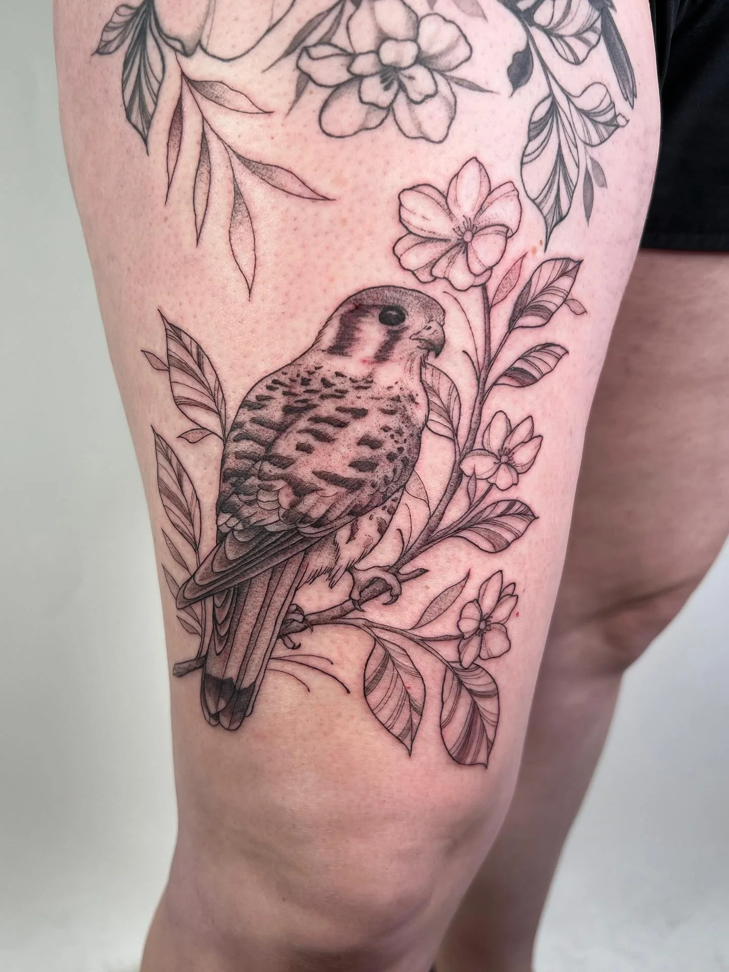 I love tattooing birds, thanks for this one !
