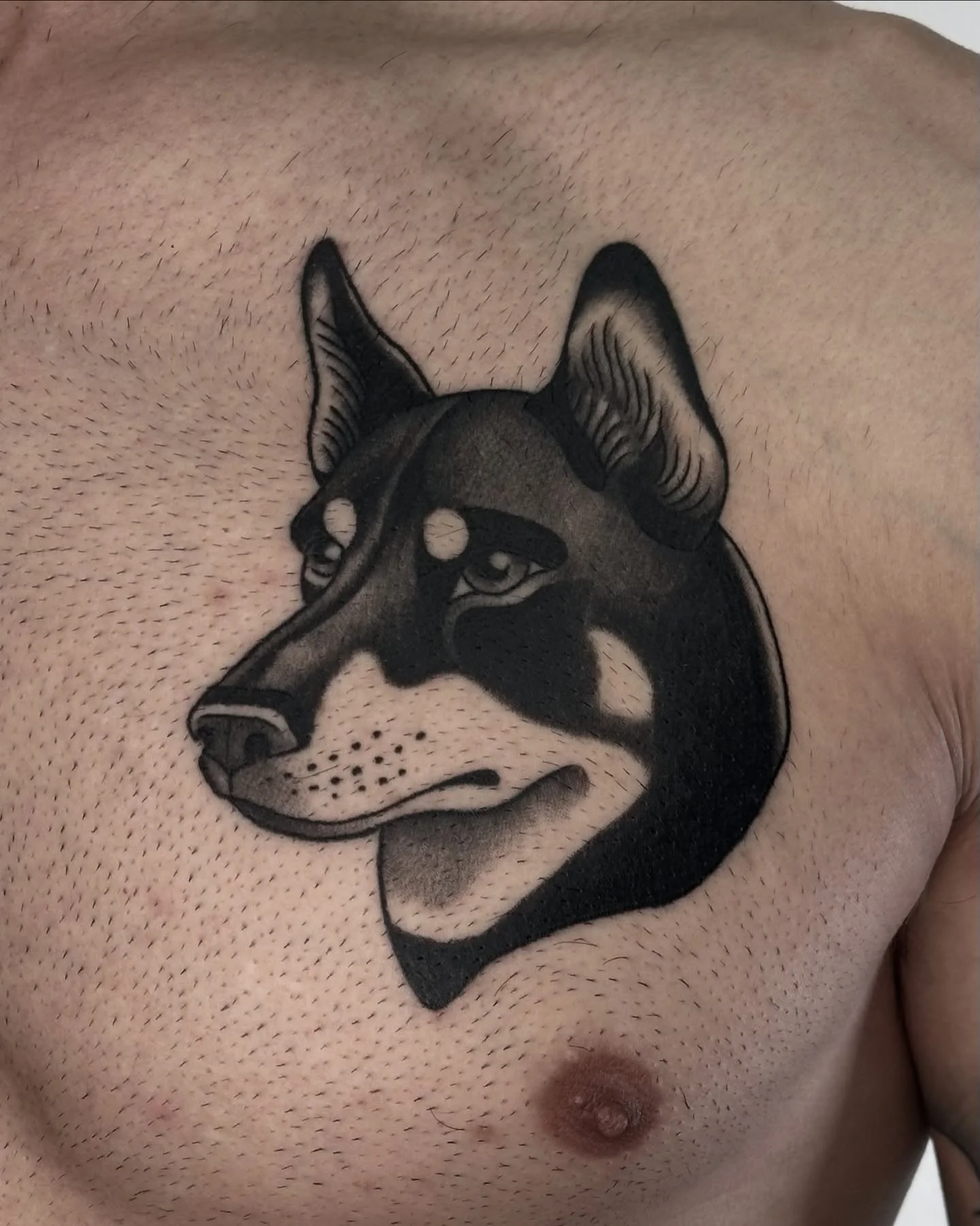 Callie &amp; Jackson for Coady.
(Black dog is a healed pic)
Stoked to continue this collection!! 🌅

@blackeleventattoo 
#dogtattoos