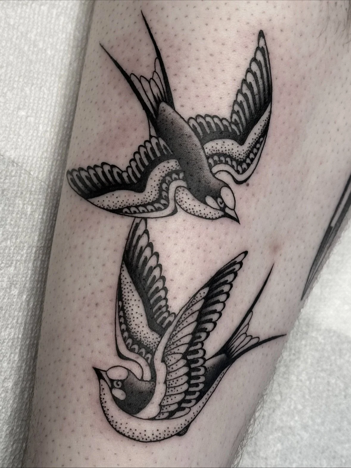 Stippled swallows, one from a pair of oryxes, a Scorpio and flash tiger head from the other week.
Appreciate it everyone 🐯
.
Made at @blackeleventattoo