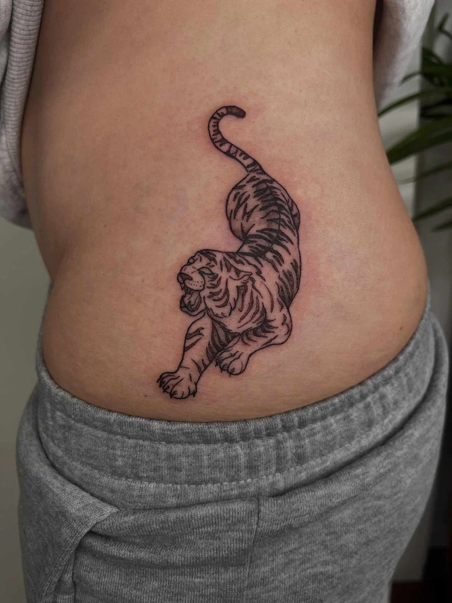 Matching tigers from last week! 🐅