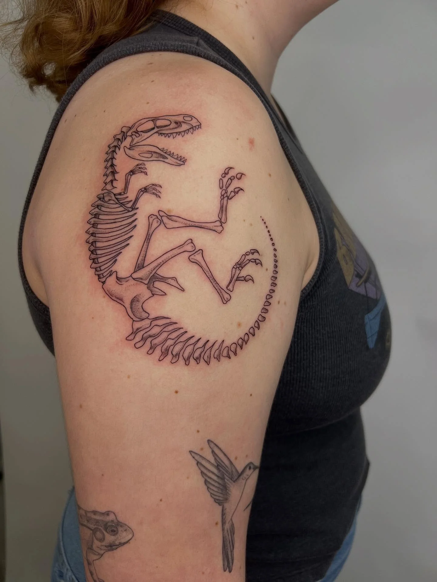 Raptor skeleton for hunter, thanks for this fun one! Love that we put it in a circular shape to compliment the placement.