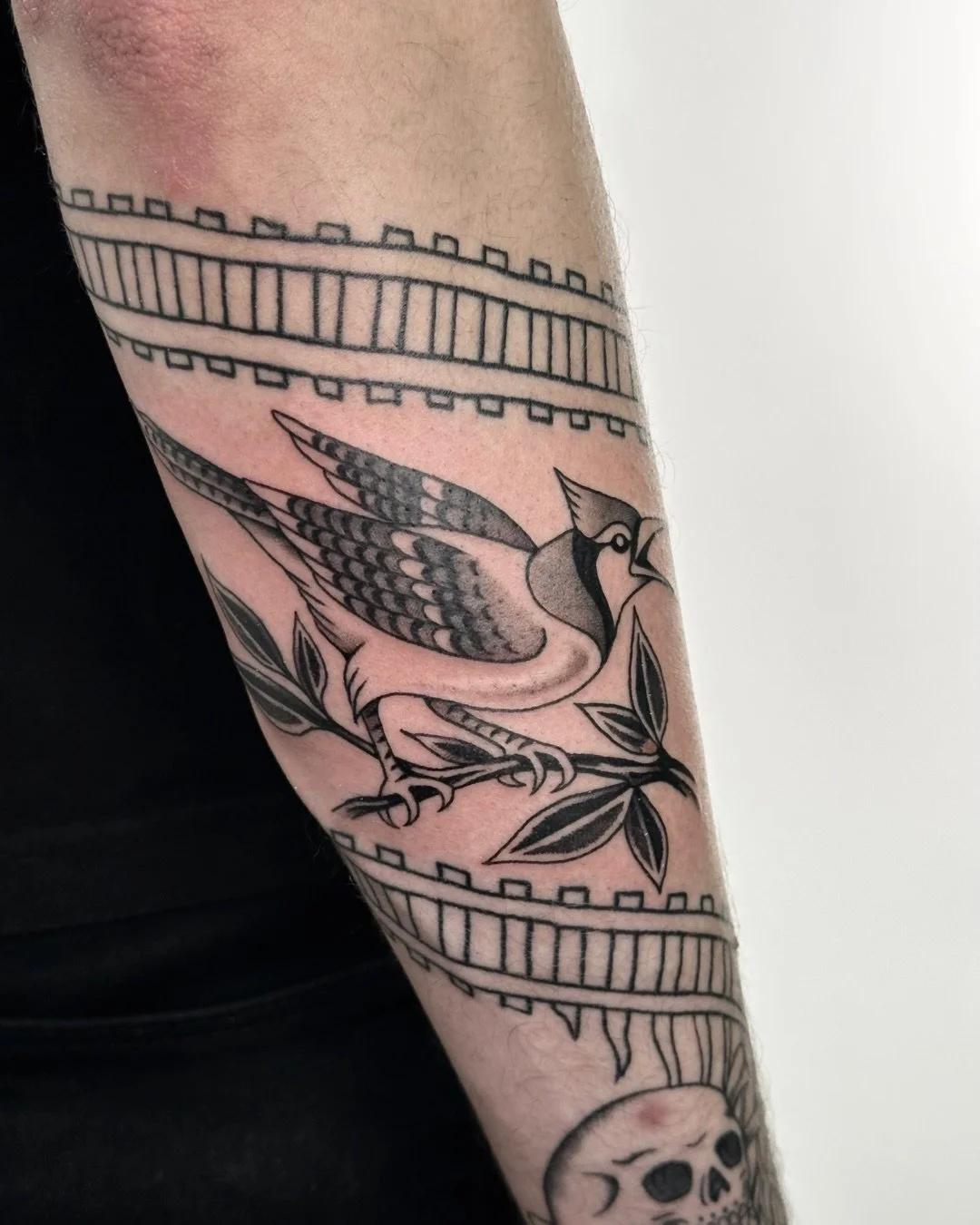 Cardinal and blue jay for Julian&rsquo;s trans track sleeve. More fun fillers to come 🚂
.
Made at @blackeleventattoo