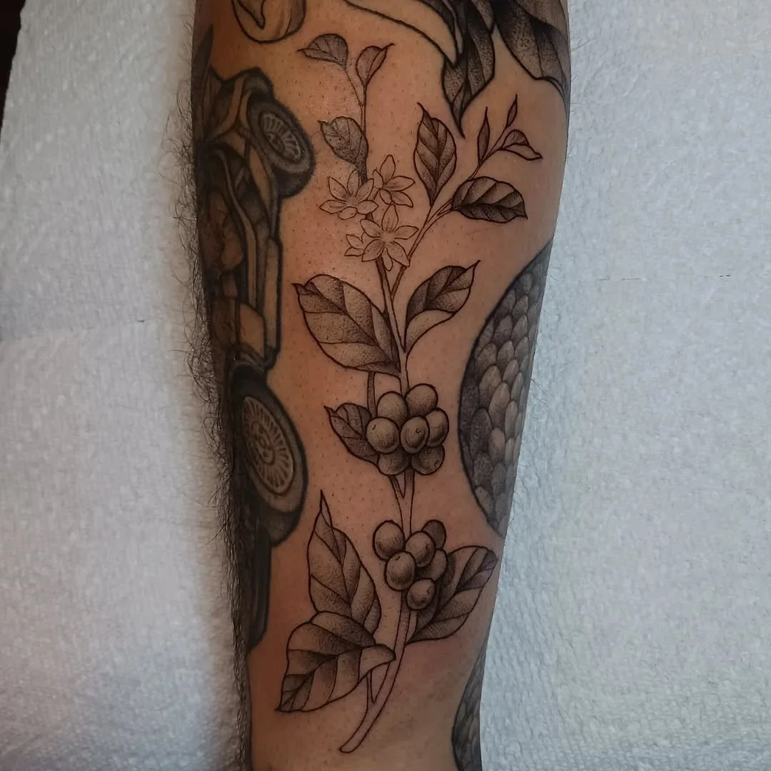 Coffee plant gap filler for Luis ☕️ 

Swipe to see a healed elbow chrysanthemum!
.
.
.
.
.
.
.
.
.
.
.
.
.
#coffee #tattoo #halifax