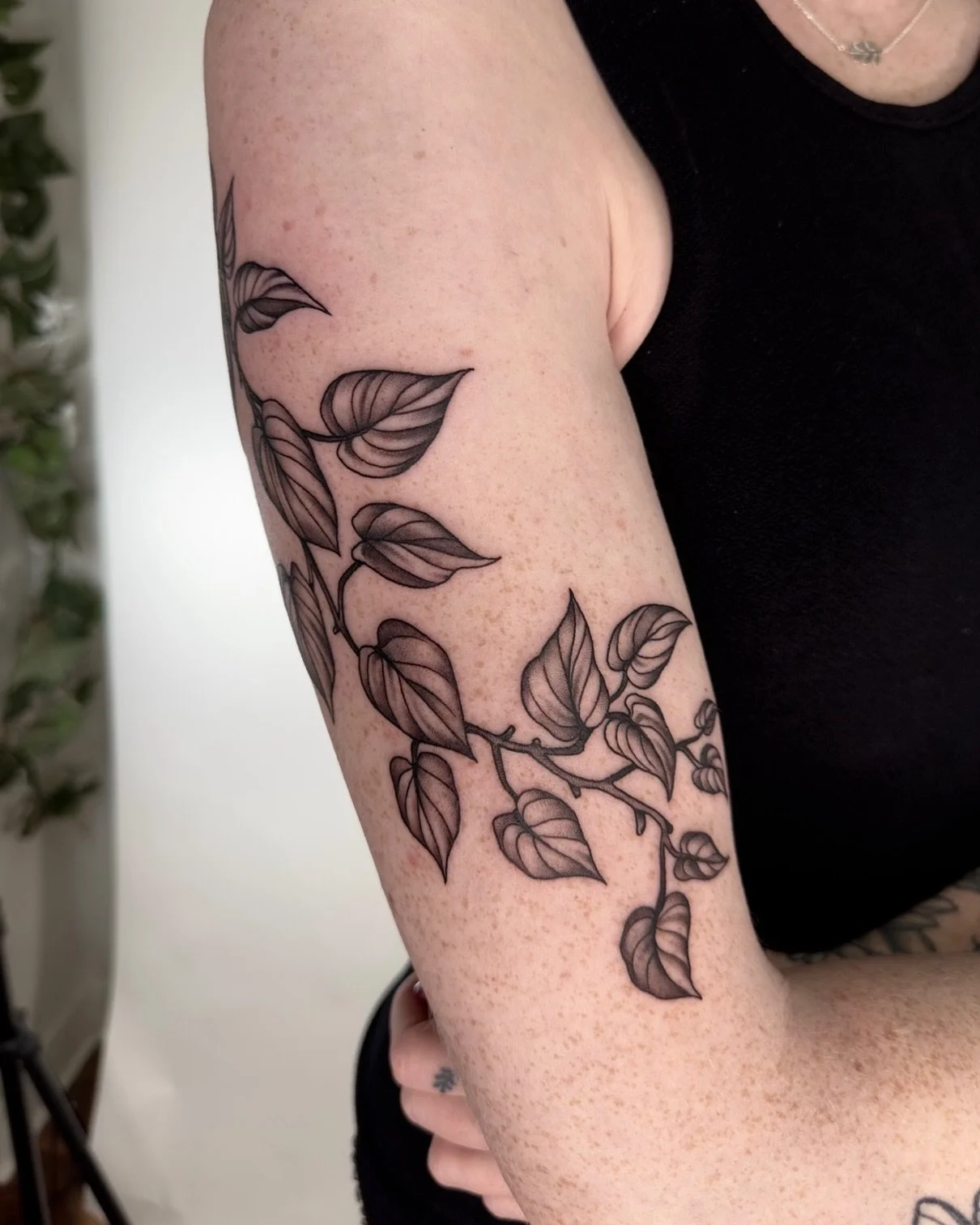 Cool pothos plant from last week, thanks Izzy! 🪴
.
Made at @blackeleventattoo