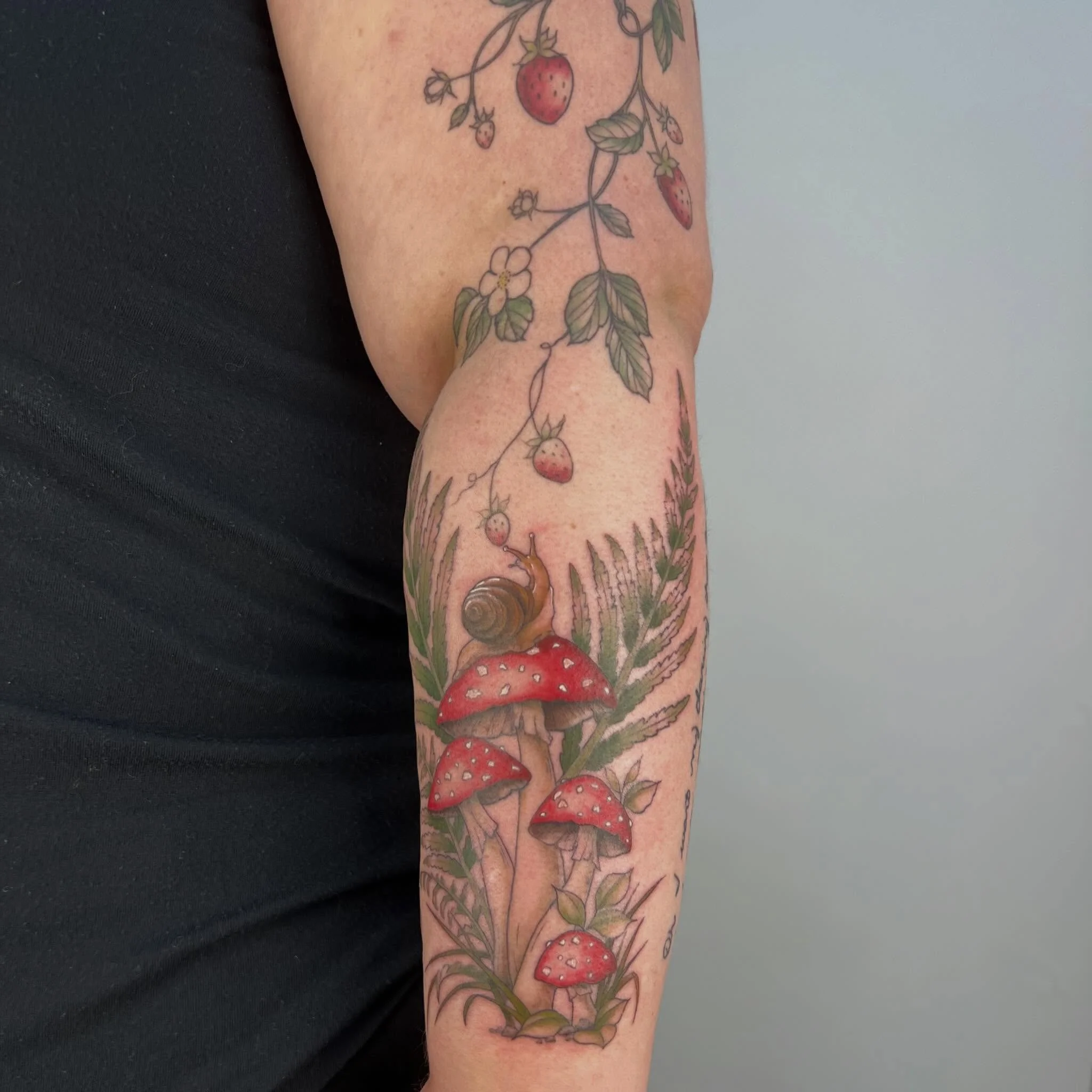 Snail/mushroom piece to go along with some freehand strawberries I did for Jillian (last year I think?). Colour on mushroom piece fresh, lines healed. I LOVE how these two pieces came together - the snail reaching for the strawberry - SO CUTE. Thanks