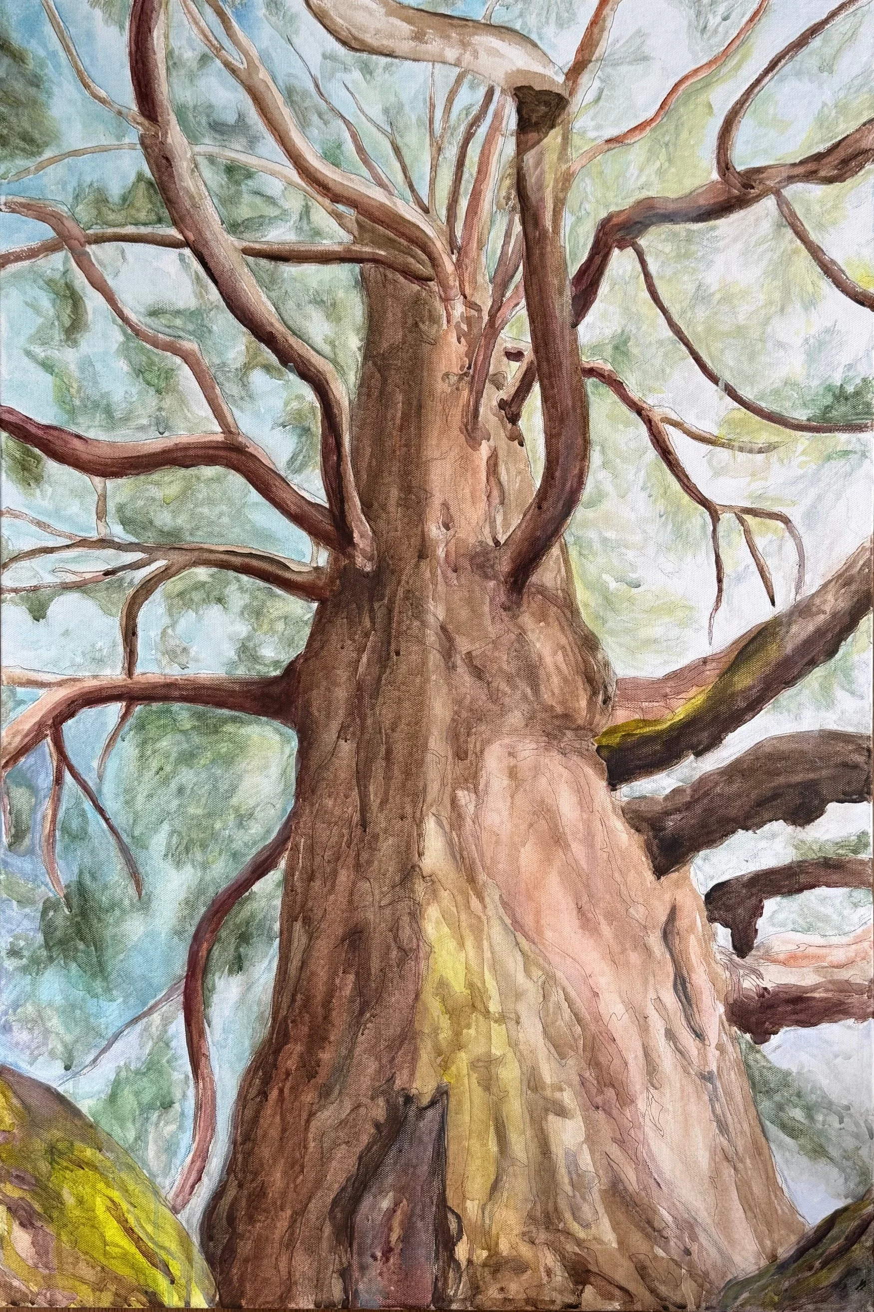 She Points to the Sky, (the tree's ink itself, walnut ink, green Earth pigment, Earth paints, graphite, and acrylics), 2026