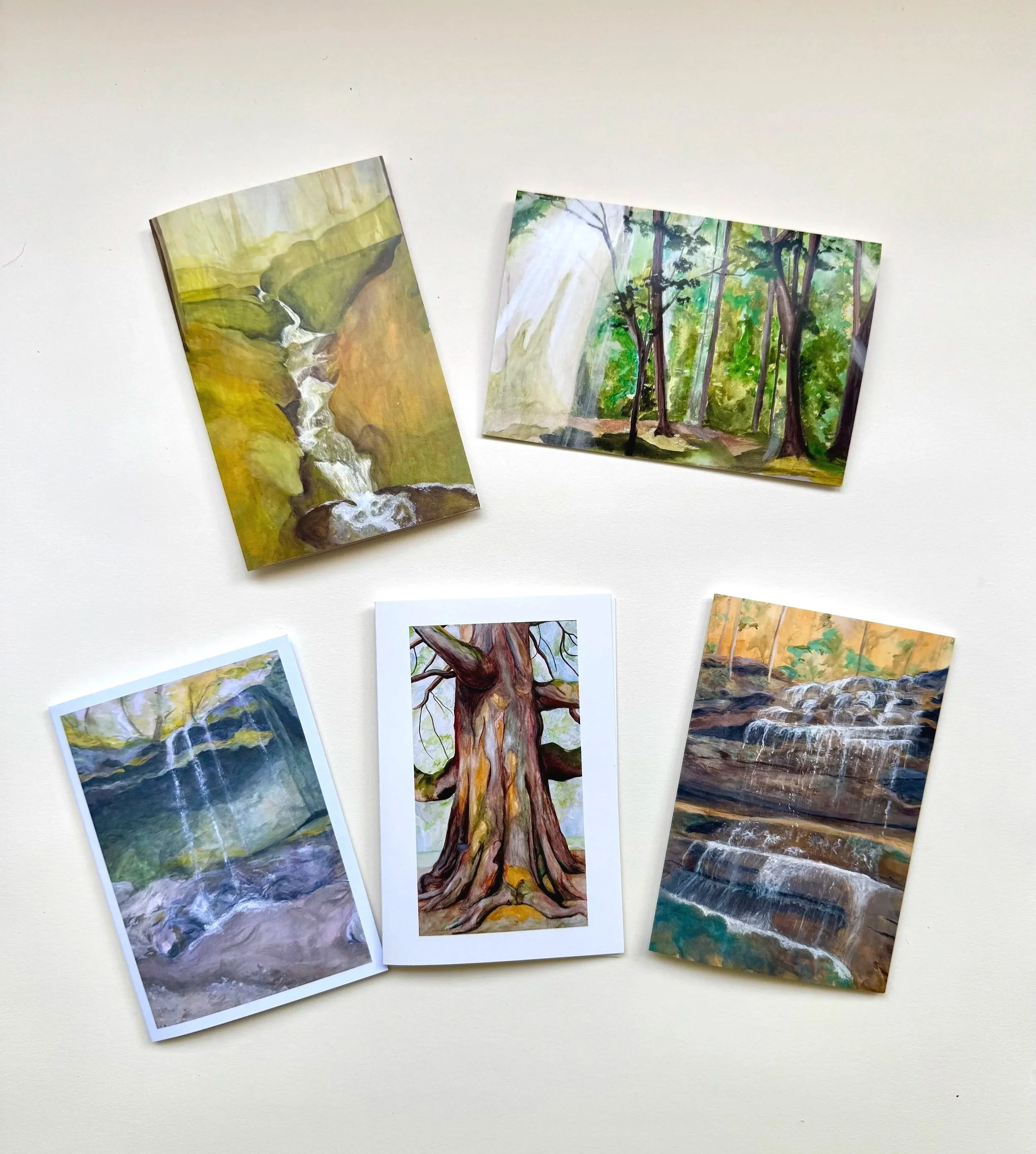 Greeting Card 5 Pack